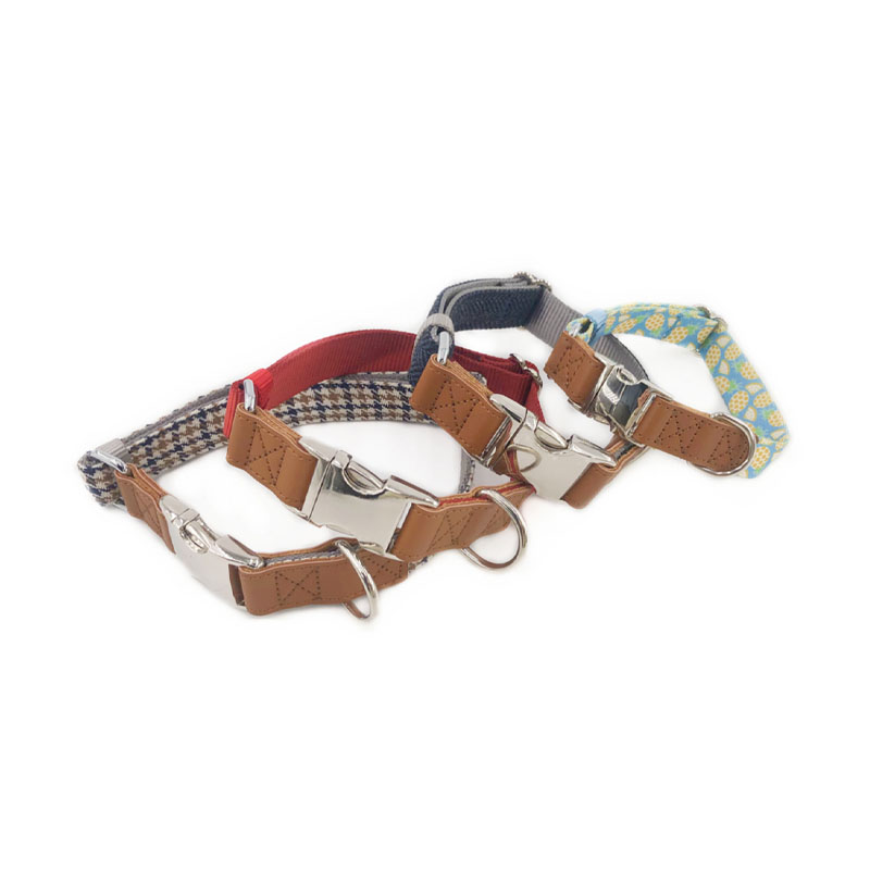 Coleiras para cães resistentes com fivela ajustável de metal à prova de ferrugem
