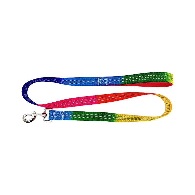 D Ring Dog Slip Leads Trela ​​Canil Corda De Nylon